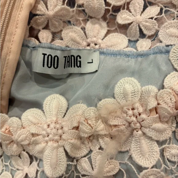 Elegant Floral Lace Dress with Sheer Hem and Flower Appliqué Details - Picture 6 of 6